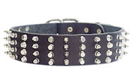 2 inch Leather Dog Collar with STUDS and SPIKES for Amstaff