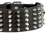 3 inch Spiked and Studded Amstaff collar