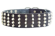 Wide Studded Leather Dog Collar-2 inch wide for Amstaff