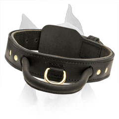 FHandling Leather Amstaff Collar With Fur Protection Plate