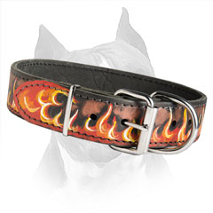 Durable Dog Collar Made Of The Strongest Leather