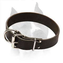 Amstaff Dog Collar With Steel Nickel Plated Buckle And  D-Ring