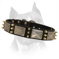 Extra Wide Comfortable Leather Dog Collar