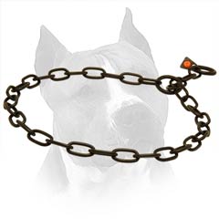 Choke Collar For Amstaff Of Black Stainless Steel Chain