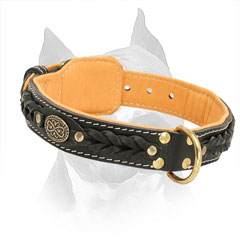2 Ply Leather Amstaff Collar with Brass Buckle and D-ring