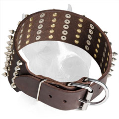 Wide Leather Collar for Amstaff with Steel Nickel Plated  Spikes and Pyramids