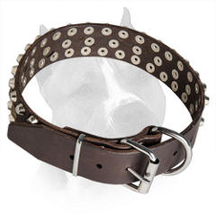 Adjustable Leather Collar for Amstaff with Sturdy Buckle and D-ring