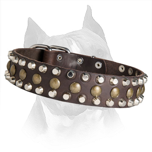 Amstaff Leather Collar with Sturdy Rust Resistant  Decoration