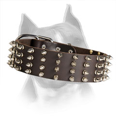Amstaff Leather Collar with Riveted Nickel Spikes