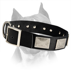 All Weather Nylon Dog Collar With Strong Fittings