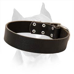 100% Full Grain Natural Leather Collar For Amstaff