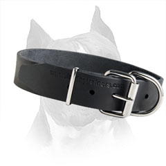 Classy Dog Collar Is Available In Two Sizes