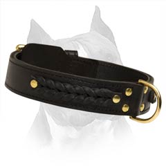 Exclusive Braided Leather Dog Collar For Amstaff