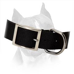 Amstaff Dog Collar With Steel Nickel Plated Fittings