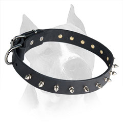 Amstaff Dog Collar Leather with Rust Resistant Spikes