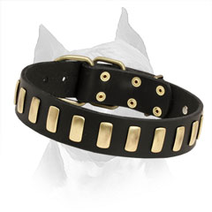 Dog Collar With Brass Buckle And D-Ring