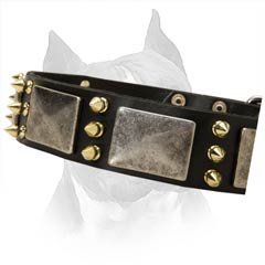 Amstaff Dog Collar With Vintage Brass Plates And  Spikes