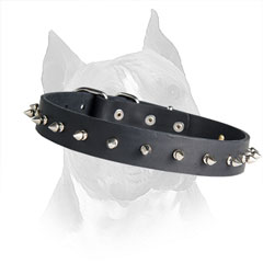 Amstaff Dog Collar Leather with Durable Spikes