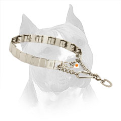 Amstaff Prong Collar for Behavior Correction of your Dog