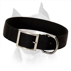 Water Resistant Nylon Dog Collar For American  Staffordshire Terrier
