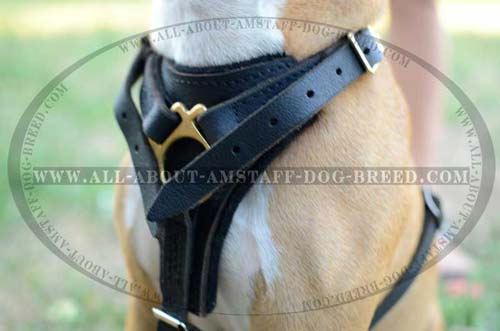 Firm Dog Harness For Powerful Amstaff Dogs 
