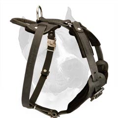 Amstaff Dog Harness With Wide Padded Chest Plate