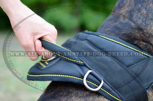 Universal Dog Harness With Special Handle