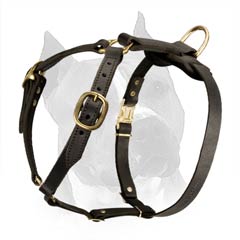Amstaff Dog Harness With Leather Neck Straps
