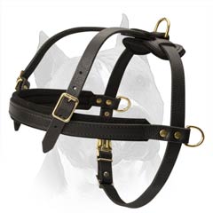 Wonderful Professional Leather Dog Harness With Chest  Strap