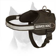 Nylon Dog Harness for Amstaff with Strong Strap