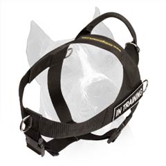 Amstaff Dog Harness With Identification Patches