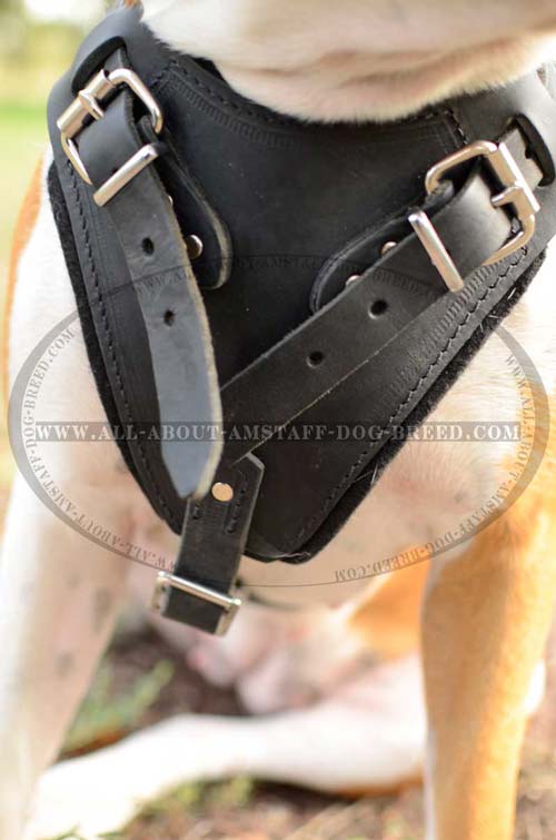 Buckles for Fast Harness Adjustment