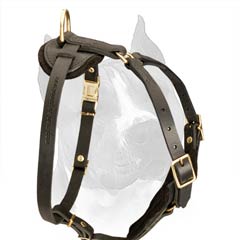 Elegant Walking And Tracking Dog Harness With Wide  Chest Plate