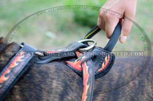 Handcrafted Soft Padded Leather Dog Harness For Amstaff  Breed