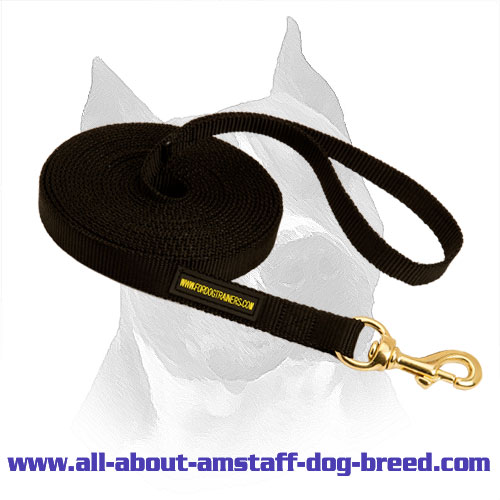 Practicable Amstaff Dog Leash