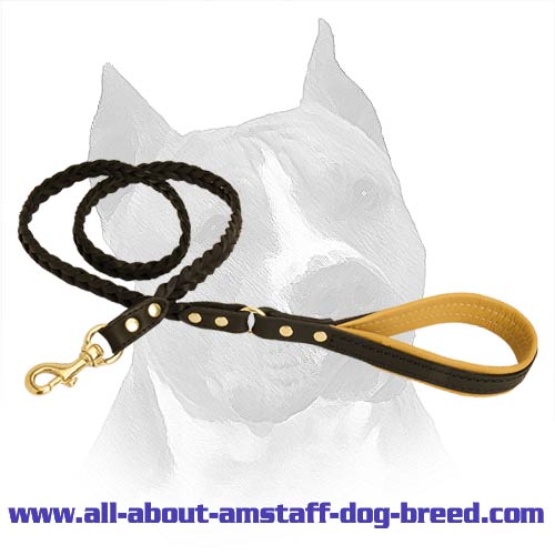 Super Strong Dog Leash With A Durable Brass Hardware