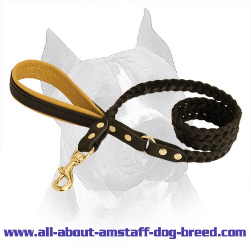 Amstaff Dog Leash Will Serve You For Years