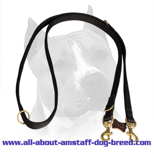 Nylon Lead for Amstaff with Gold-like O-Rings 