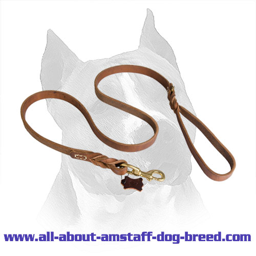 Amstaff Braided Leather Leash With Durable Handle