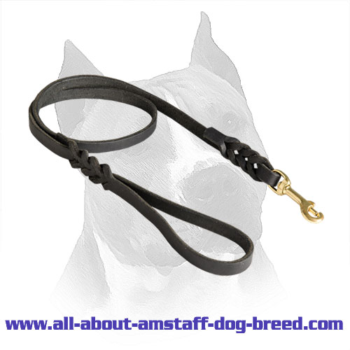 Leather Amstaff Leash with Massive Brass Snap Hook