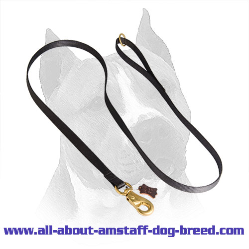 Nylon Leash for Amstaff Tracking and Patrolling