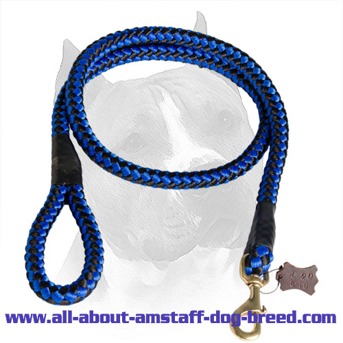 American Staffordshire Terrier Leash Nylon with Stitched Brass Snap Hook