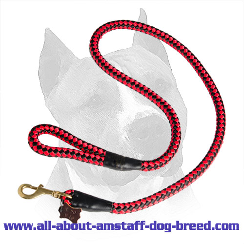 Amstaff Nylon Leash With Easy in Use Handle