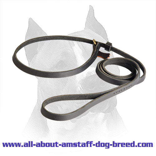 Combination of Amstaff Leather Leash and Slip Collar for Easy Training and Walking