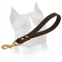 Leather Dog Leash for Amstaff with Brass Riveting