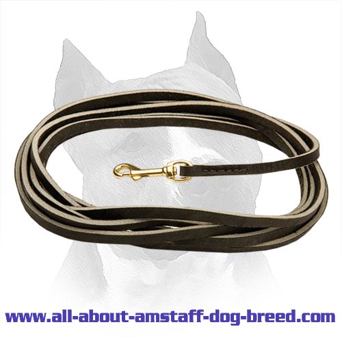 Stitched Near The Snap Hook Leather Dog Leash