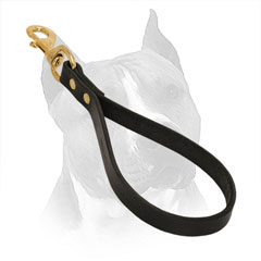 Leather Dog Leash for Amstaff with Rust Resistant Rivets