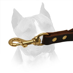 Brass Snap Hook Easily Attached to Collar / Harness