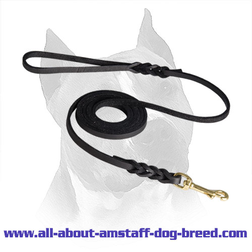 Amstaff Leather Leash Brass Snap Hook