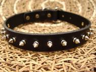 Leather Spiked Dog Collar - 1 row with Silver Spikes